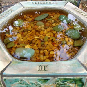 The Seedlings Donor Board at Lafayette Community Garden in Lafayette, California.