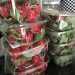 Fresh vegetables ready for distribution at the Garden Work to the Rescue.