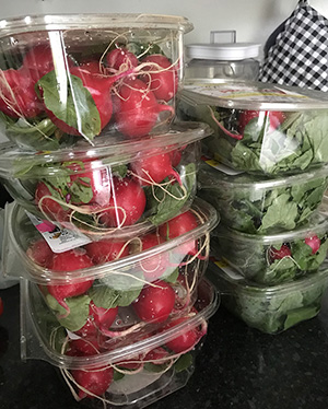 Fresh vegetables ready for distribution at the Garden Work to the Rescue.