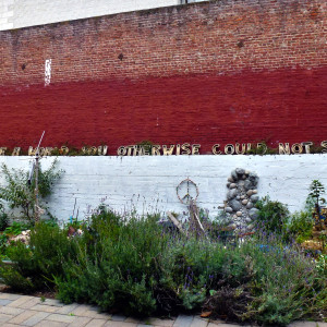 Needles littering the alleyway that separates The LightHouse from the Please Touch Community Garden were a common sight during the garden’s construction. Photo by Gk Callahan, 2011.