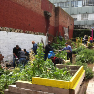 Needles in the alleyway during construction