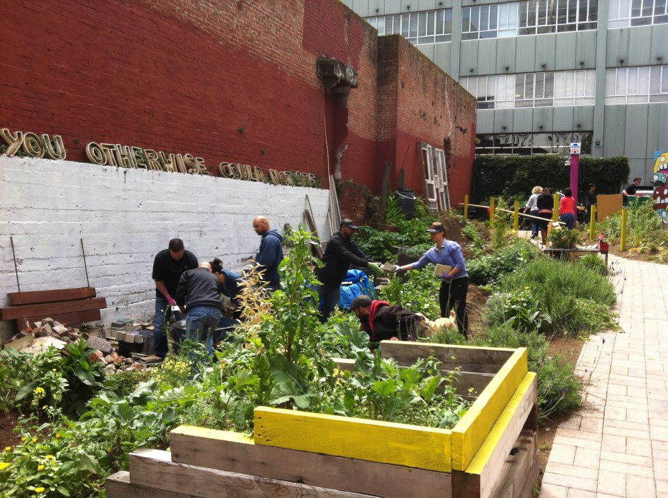 Needles in the alleyway during construction