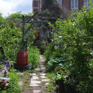 The garden was once a couple of abandoned lots.