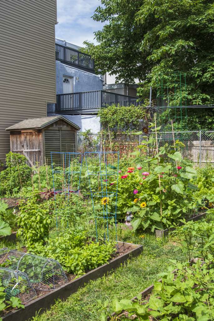 2020 photo of garden beds with vegetables and flowers at the Bouvier Community Garden