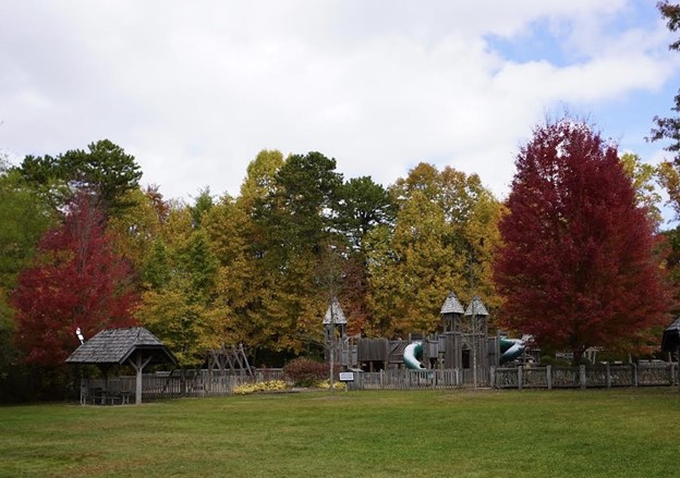 8. View of the Great Lawn with the children’s playground in the background. This magnificent playground was built by expert volunteers, and it features unique play equipment for children of all ages. Sara Gaines, photographer.