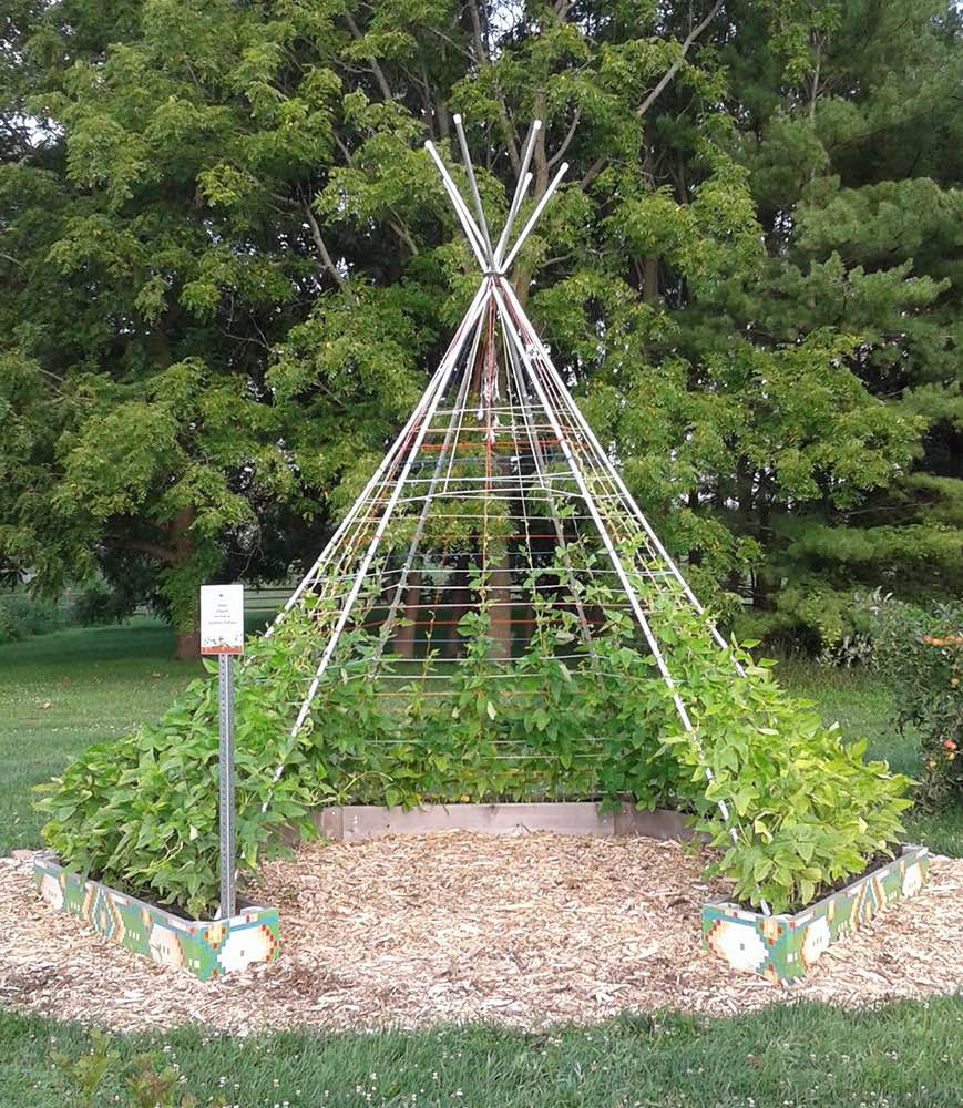 The community garden today is now a green, blooming gathering space.