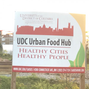 A three-acre urban farm located on East Capitol Street in Washington, D.C.