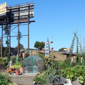 A whimsical entry sign features the namesake of Big Daddy’s Complete Rejuvenating Community Garden.