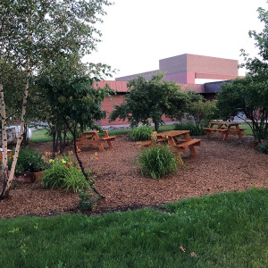 Ronan High School Native Plant Garden: A Space for Learning, Community, & Cultural Competency