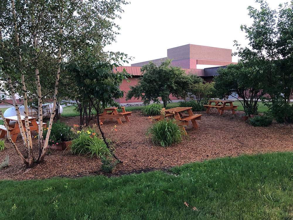 Ronan High School Native Plant Garden: A Space for Learning, Community, & Cultural Competency