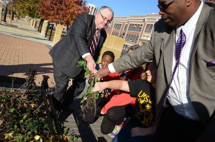 Planting a garden