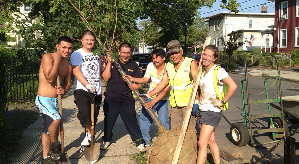 Street tree planting