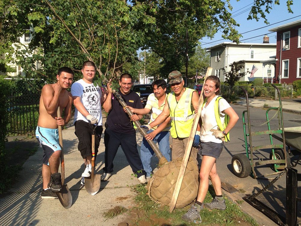 Street tree planting