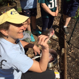 The Children's Learning Garden at Woodend Sanctuary