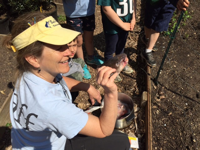 The Children's Learning Garden at Woodend Sanctuary