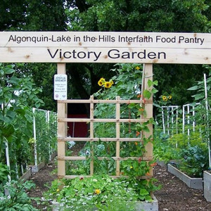 The entrance to the garden in July 2015 to Algonquin / Lake in the Hills Interfaith Food Pantry Victory Garden