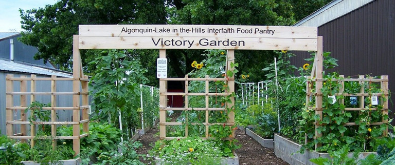 The entrance to the garden in July 2015 to Algonquin / Lake in the Hills Interfaith Food Pantry Victory Garden