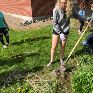 Ronan High School Native Plant Garden: A Space for Learning, Community, & Cultural Competency