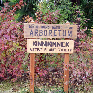 North Idaho Native Plant Arboretum