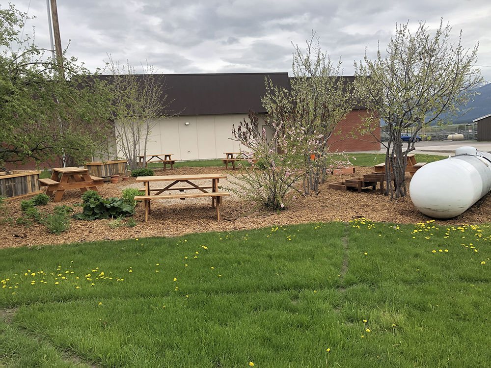 Ronan High School Native Plant Garden: A Space for Learning, Community, & Cultural Competency