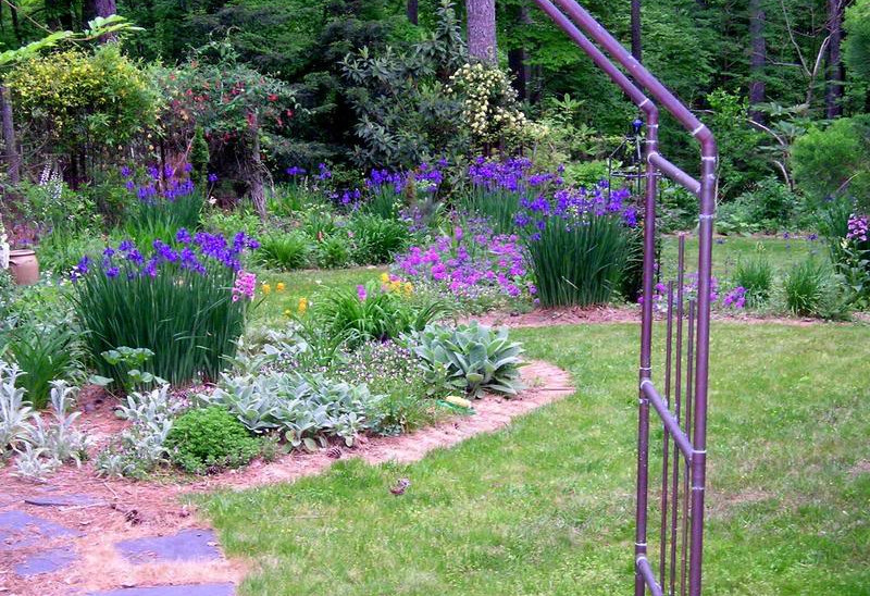 The perennial garden