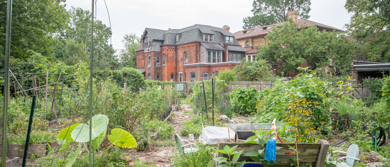 Chester Avenue Community Garden in Philadelphia, PA