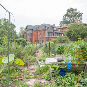 Chester Avenue Community Garden in Philadelphia, PA