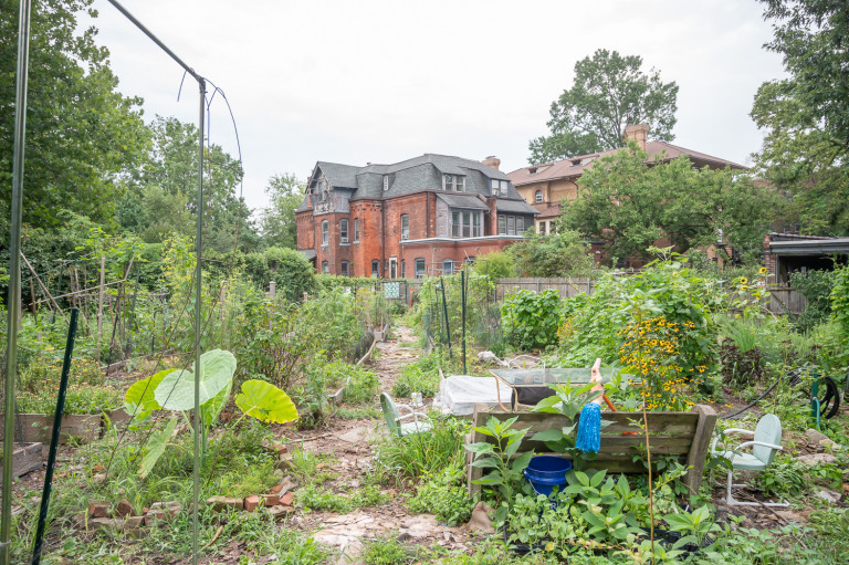 Chester Avenue Community Garden in Philadelphia, PA