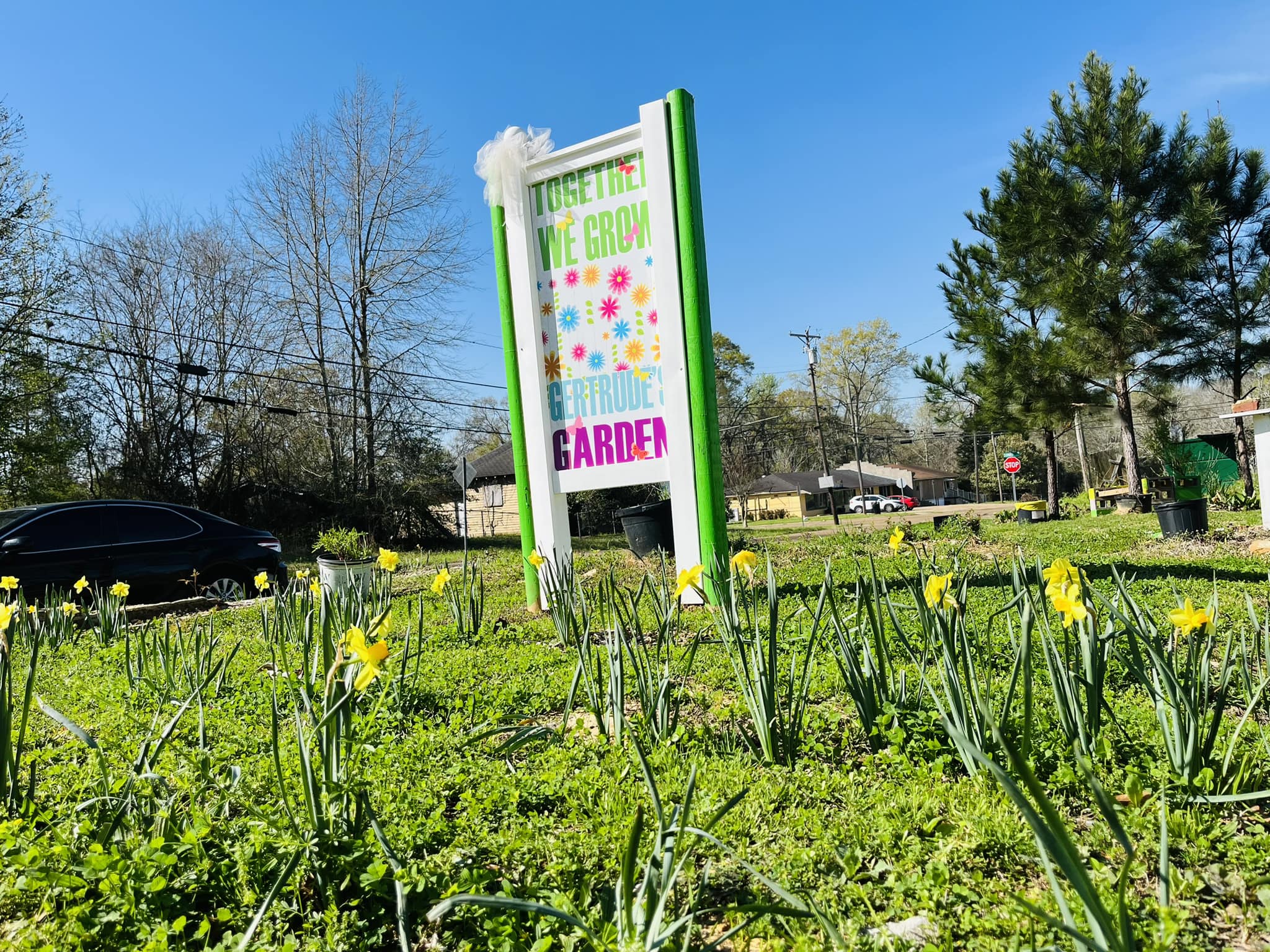 Planting Seeds of Hope