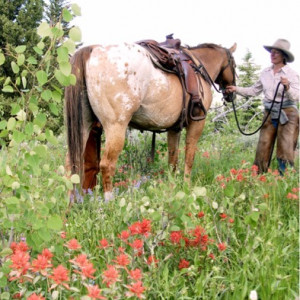 Sherry in a field of red Indian paintbrush, sticky geranium, and silver lupine.