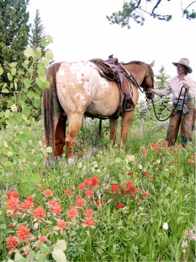 Sherry in a field of red Indian paintbrush, sticky geranium, and silver lupine.