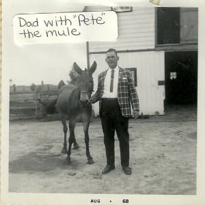 The author's grandfather, John Walter W., with Pete the mule