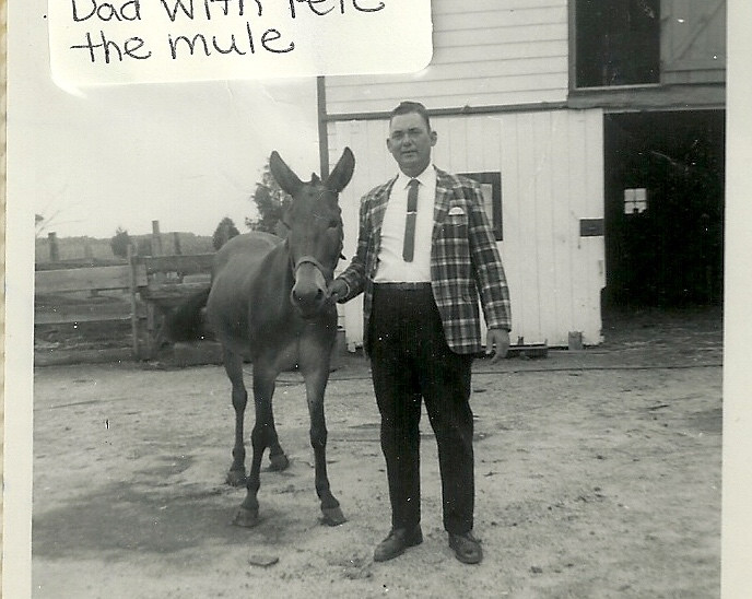 The author's grandfather, John Walter W., with Pete the mule