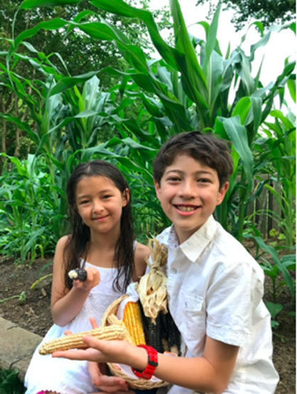 Popcorn Summer: Family Gardening with Indigenous Seeds. Children with corn cobs from their Popcorn Summer Garden.