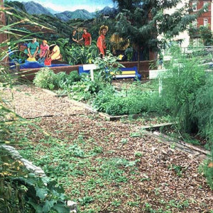 One of the murals at Las Parcelas. Ira Beckhoff, photographer, 1995. Smithsonian Institution, Archives of American Gardens, Garden Club of America Collection.