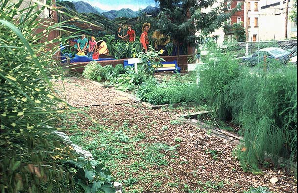 One of the murals at Las Parcelas. Ira Beckhoff, photographer, 1995. Smithsonian Institution, Archives of American Gardens, Garden Club of America Collection.