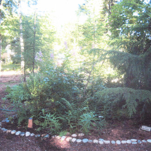 Native Idaho Native Plant Arboretum. Community of Gardens. The arboretum is managed by the Kinnikinnick Native Plant Society.