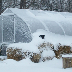 The entrance to the garden in 2012