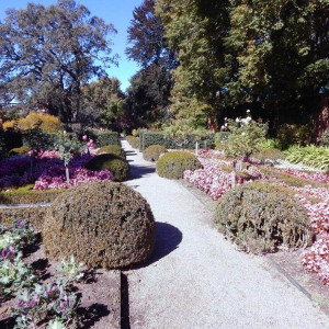 A view of a formal garden pathway at Fioli.