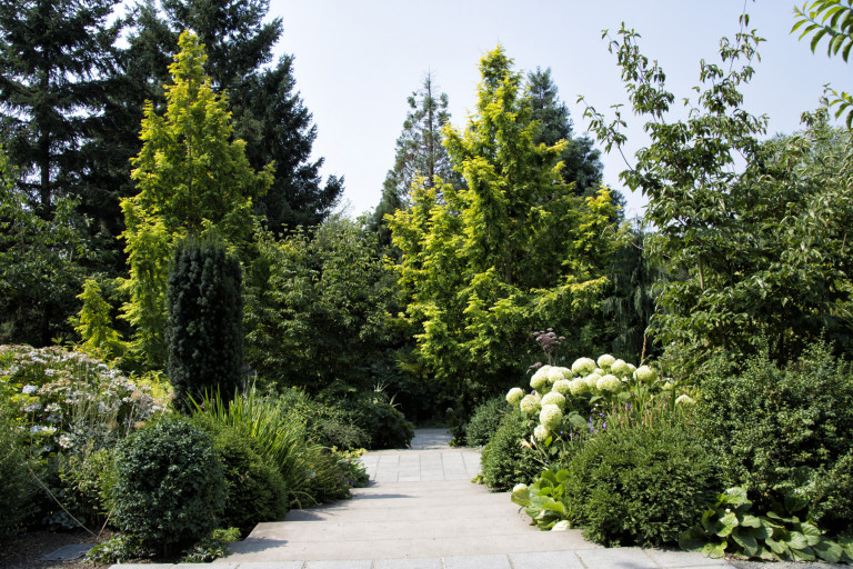 The grounds of the Bellevue Botanical Garden originally belonged to Cal and Harriet Shorts