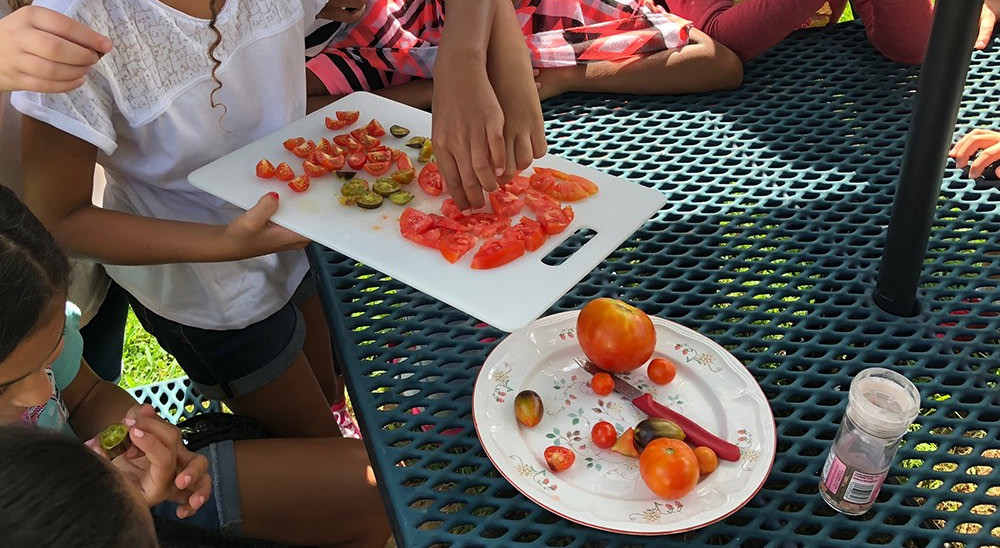 Campbell Elementary School’s Outdoor Classroom