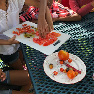 Campbell Elementary School’s Outdoor Classroom