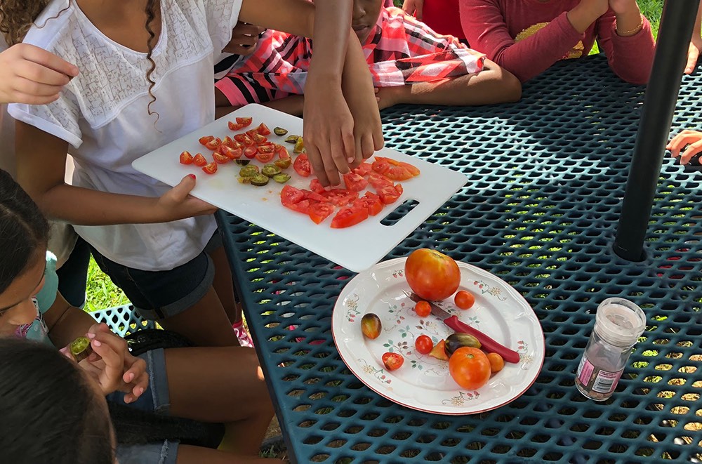 Campbell Elementary School’s Outdoor Classroom