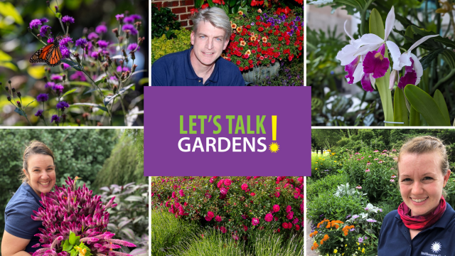 Let's Talk Gardens Banner featuring a collage of six images, including 3 Smithsonian Gardens staff, a monarch butterfly, magenta roses, and a purple and white orchid.