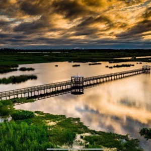 Cattail Marsh and The Wetlands Education Center, Tyrell Park, Beaumont, Texas.