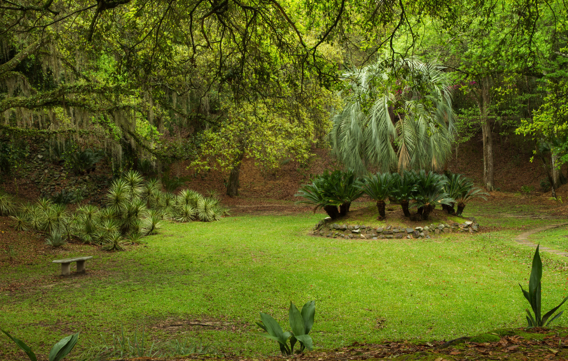 Jungle Gardens and Herbarium on Avery Island