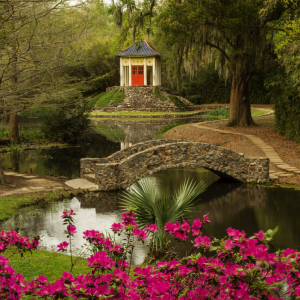 Jungle Gardens and Herbarium on Avery Island