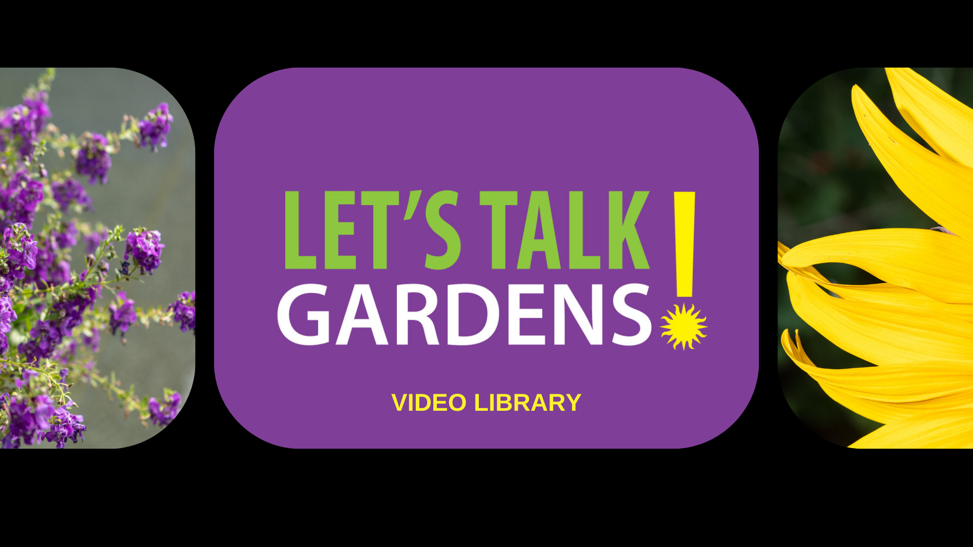 A banner designed to look like a film strip featuring the Let's Talk Gardens logo in the center cell and images of flowers on either side.