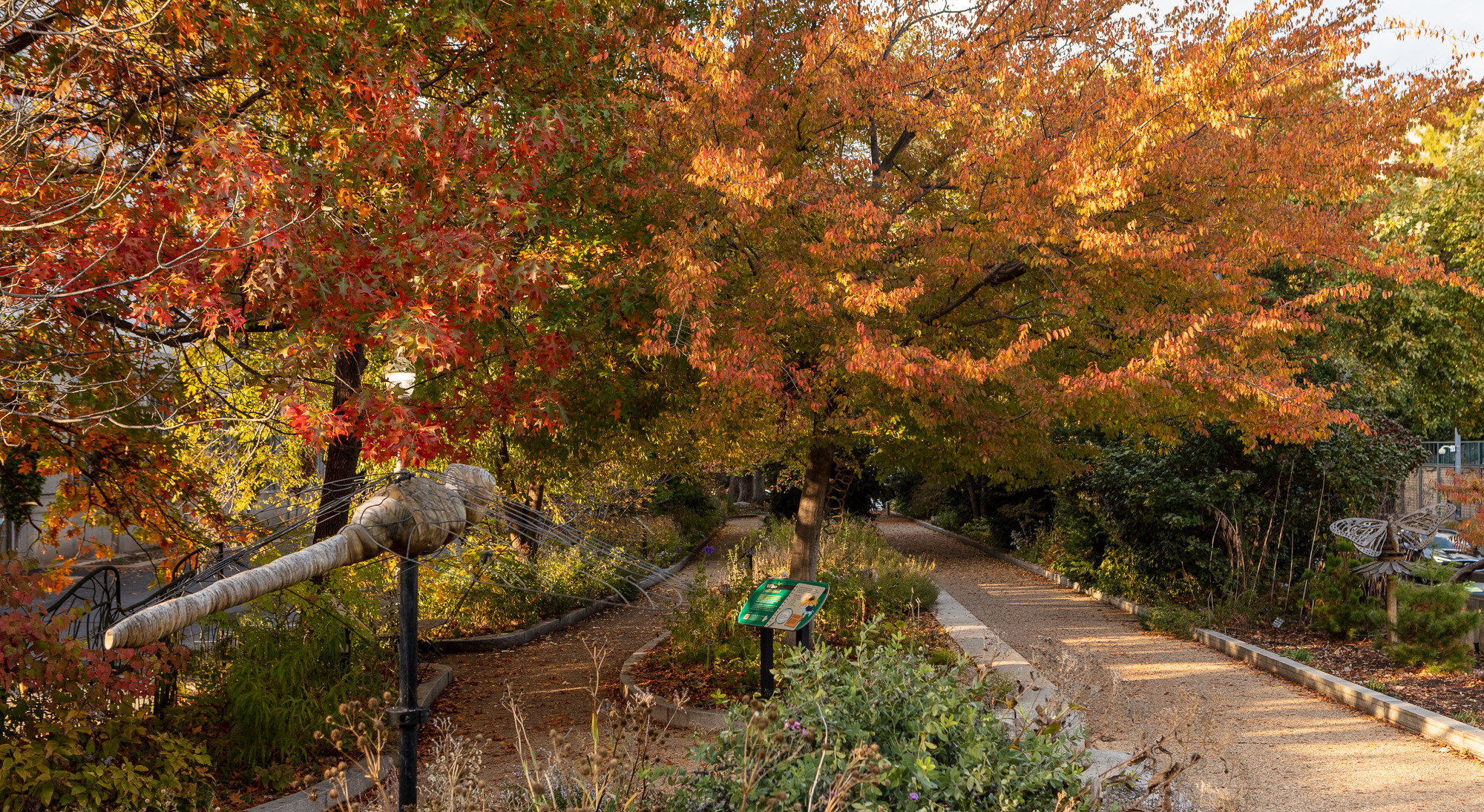 Photo of the Pollinator Garden at NMNH during the fall.