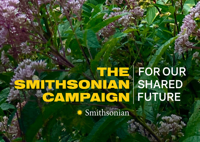 Smithsonian Campaign for Our Shared Future